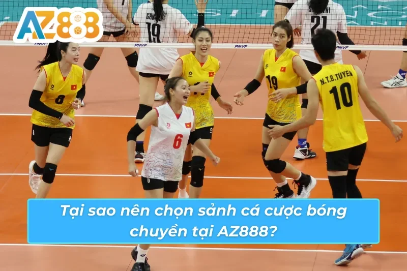 Sự khác biệt của bóng chuyền AZ888