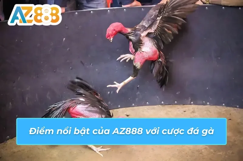 Đá Gà AZ888: Cá Cược Tại Trường Gà Trực Tuyến Chất Lượng 3 Yếu tố giúp đá gà AZ888 trở nên thành công và hút khách