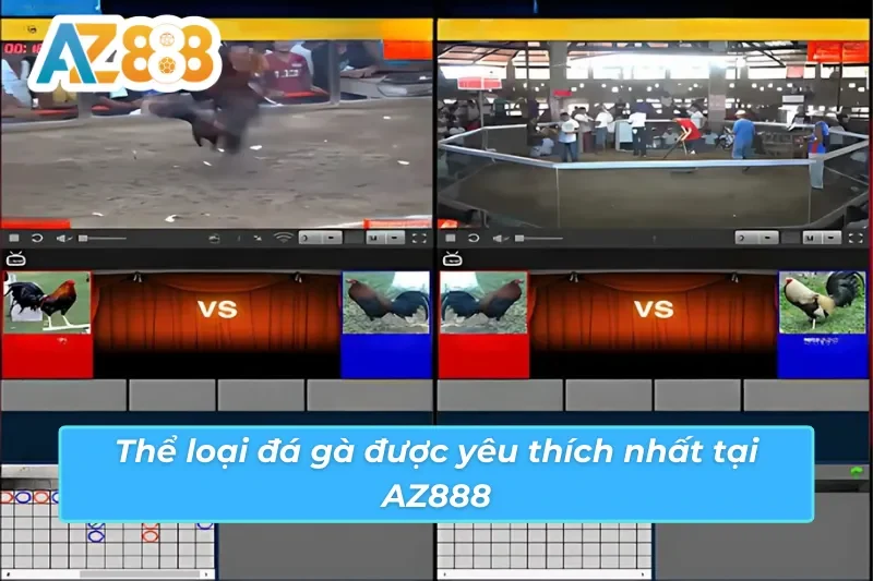 Đá Gà AZ888: Cá Cược Tại Trường Gà Trực Tuyến Chất Lượng 5 Thể loại cược đá gà AZ888 được nhiều cược thủ yêu thích
