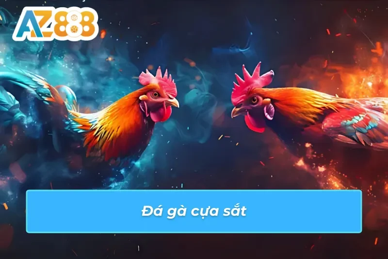 Đá Gà AZ888: Cá Cược Tại Trường Gà Trực Tuyến Chất Lượng 6 Đá gà AZ888 đầy kịch tính với hình thức cựa sắt