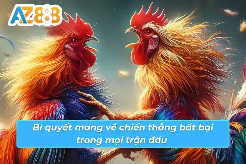 Kinh nghiệm từ cao thủ mang về thắng lớn trong đá gà Savan AZ888